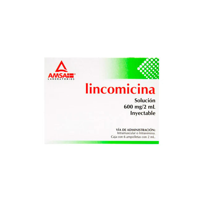 Lincomicina Solución Inyectable 600 (Amsa)