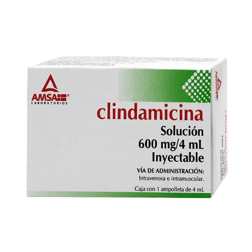 Clindamicina Ampo 4ml (Amsa)